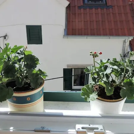 Romantic In Center * Spalato